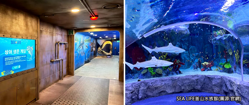 SEA LIFE釜山水族館